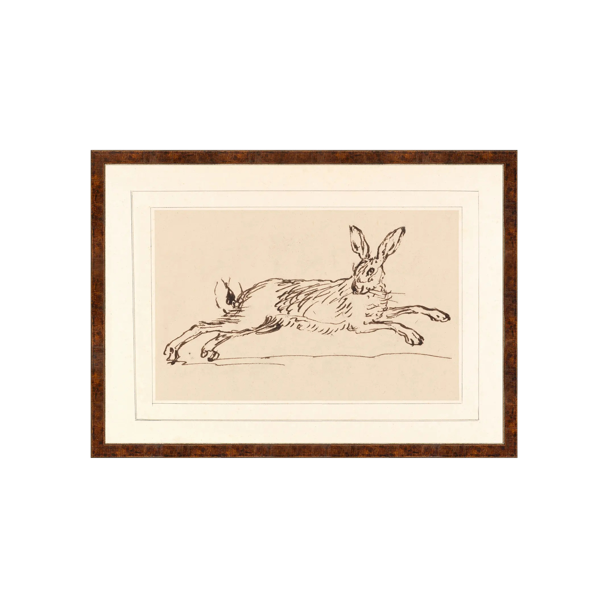 jumping hare drawing