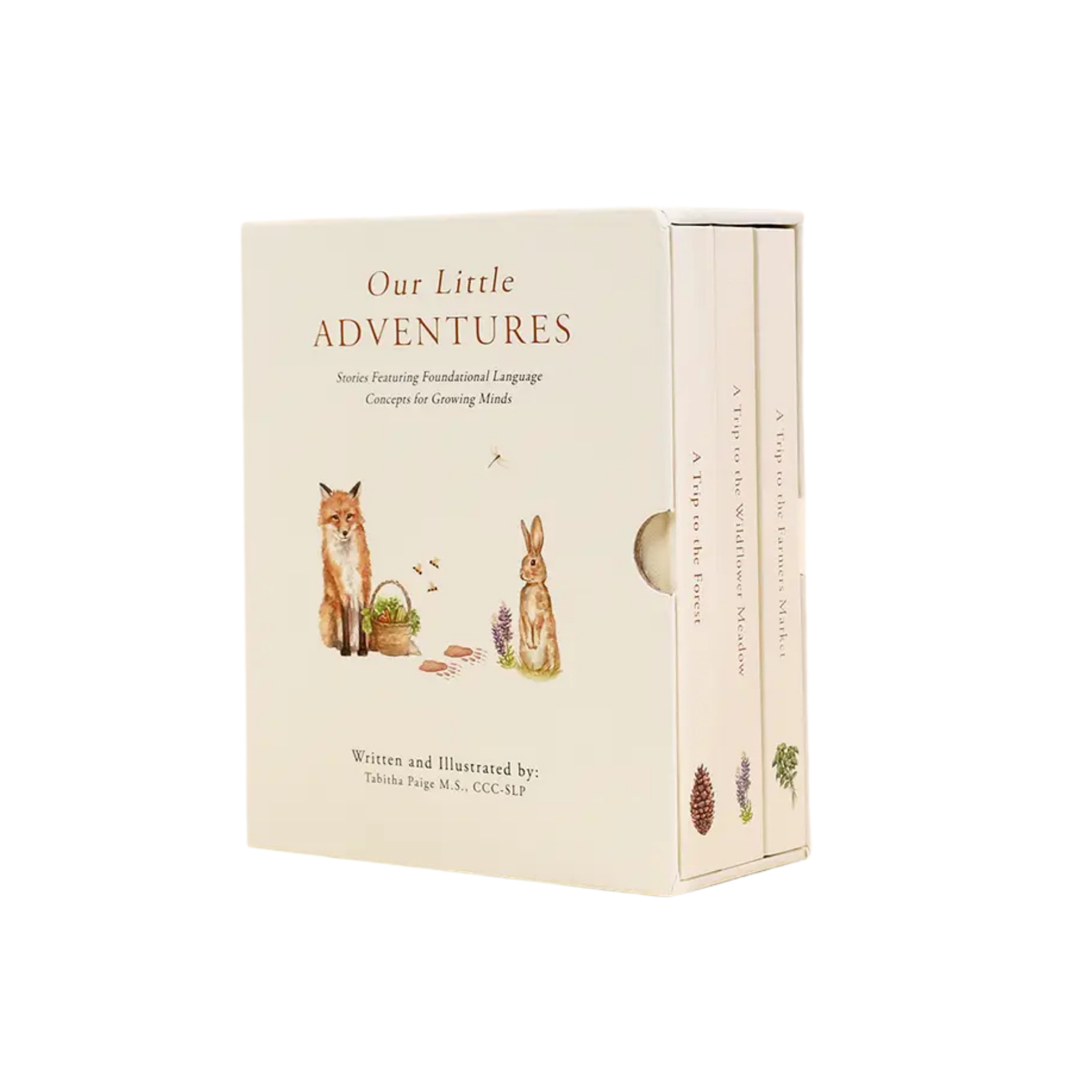 Our Little Adventures Story Box Set