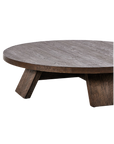 Sparrow Coffee Table (Ashen Oak)